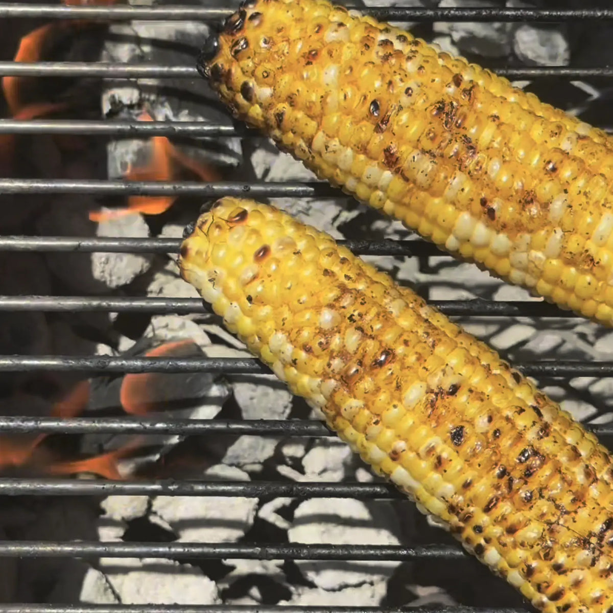 Candied Jalapeño Street Corn - corn cobs on the grill